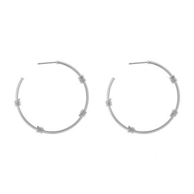 Oorbellen Fashionable Creoles zilver zilveren ronde oorbel oorhanger Earrings fashion musthave sieraden online bestellen buy
