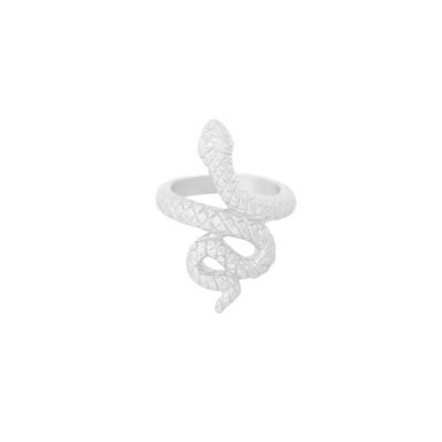 Ring Snake zilver zilveren dames ringen slang vorm rvs ringen dames sieraden online kopen bestellen