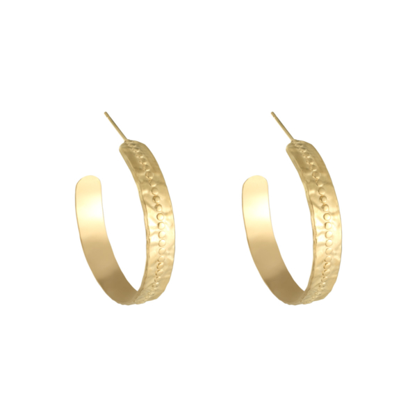Oorbellen My Lily goud gouden dames oorbellen sieraden rvs kopen bestellen grote creolen trendy trends