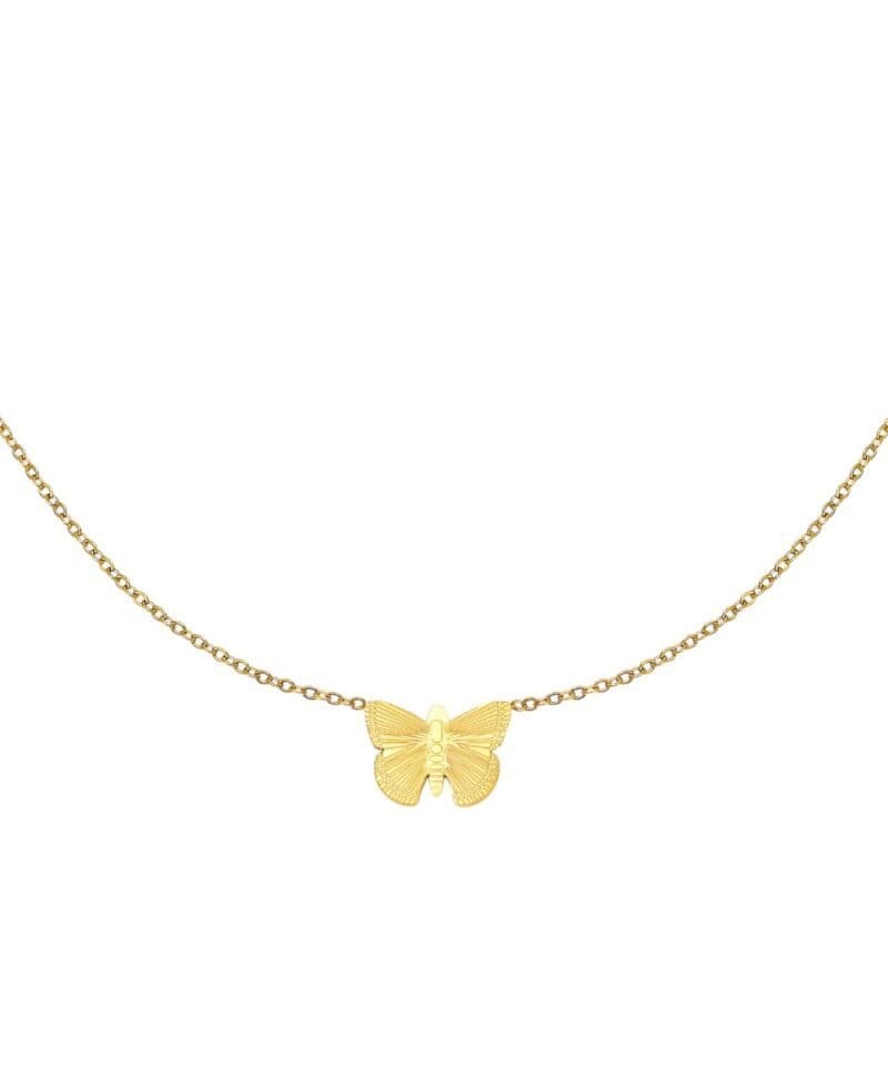 Ketting-My-Butterfly-goud-gouden-dames-ketting-vlinder-bedel-rvs-sieraden-bestellen-Photoroom
