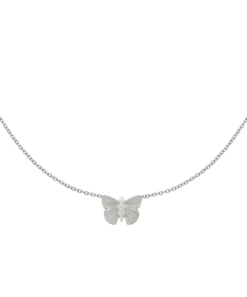 Ketting-My-Butterfly-zilver-zilveren-dames-ketting-vlinder-bedel-rvs-sieraden-kopen-Photoroom