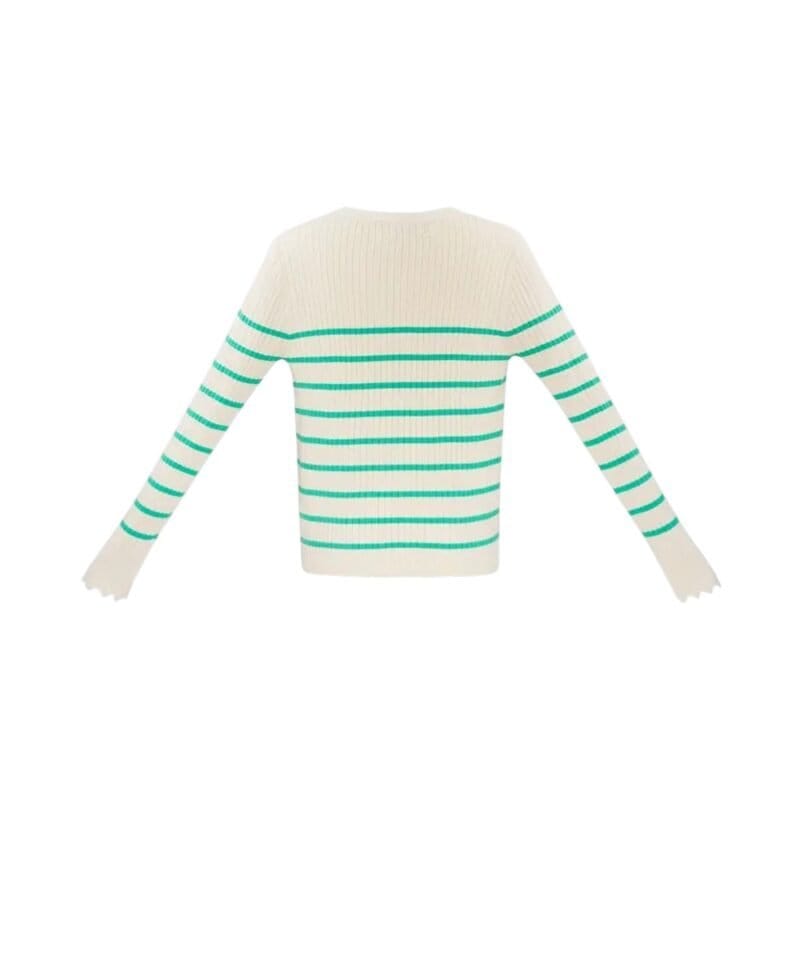 Dun Gebreide Trui Strepen v hals groen beige trendy dames truien lange mouwen kopen bestellen yehang achter-Photoroom