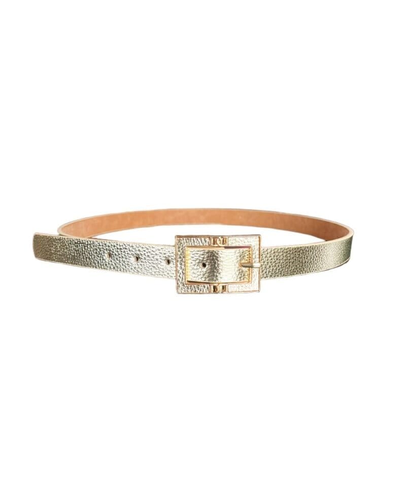 Gouden Riem Daisy goud-beslag-leren-riemen-ceinturen-trendy-kopen-bestellen11