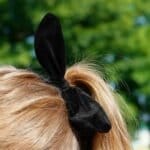 Haar-elastiek-Sweet-Bow-zwart zwarte -velourse-velvet-haarelastiek-haarband-konijnen-oortjes-musthave-fashion-haar-accessoires-haarbanden-model