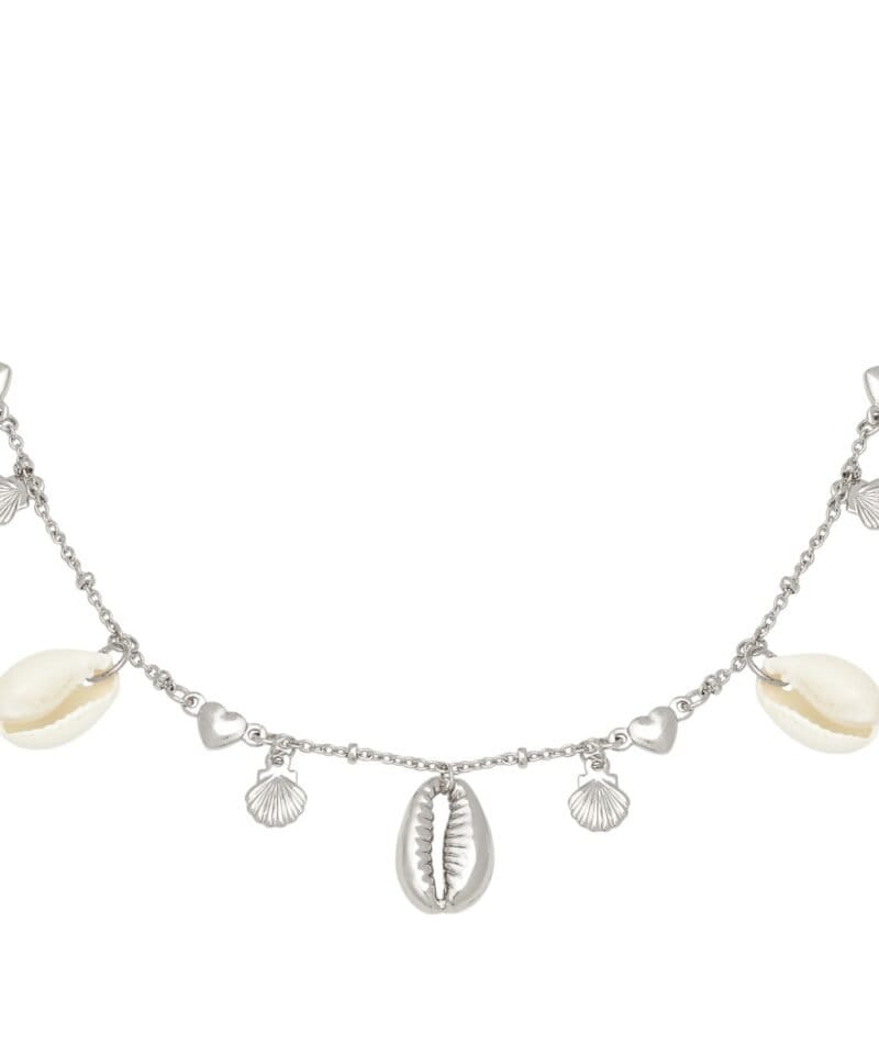 Ketting-Endless-Shells-zilver-zilveren-ketting-met-schelpen-metalen-bedels-beach-boho-fashion-necklages-kopen-yehwang-Photoroom