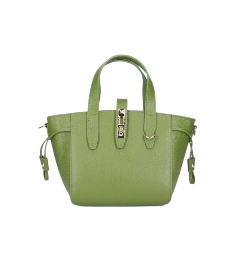 Leren Handtas Calista aloegroen groene stevige kleine trendy leer schoudertassen goud beslag chique kopen bestellen-Photoroom