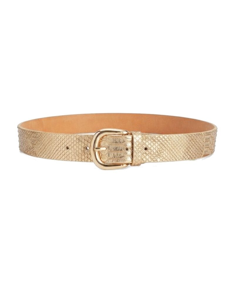 Slangenprint Riem Snake goud gouden dames riemen goud beslag dieren print trendy musthaves kopen bestellen riem unisex