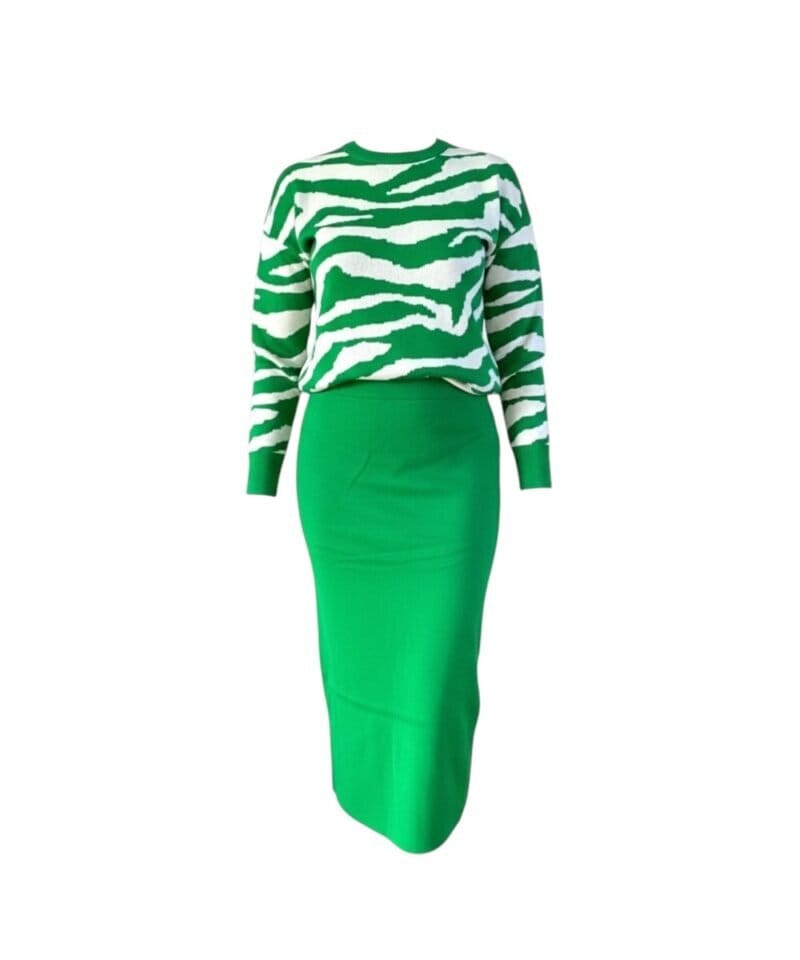 Twin-Set-Zebra-groen-groene-zebra-print-sweater-trui-truien-halflange-rok-trendy-kledingsets-dames-kopen-bestellen--Photoroom