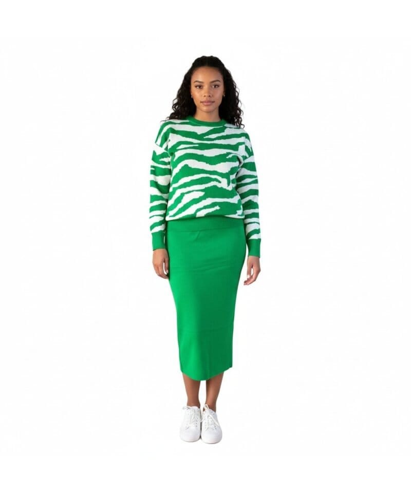 Twin-Set-Zebra-groen-groene-zebra-print-sweater-trui-truien-halflange-rok-trendy-kledingsets-dames-kopen-bestellen-sweaters-model