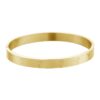Armband-Cocktails-RVS-Gouden bangle dames armbanden cocktails gegraveerd musthaves armbanden