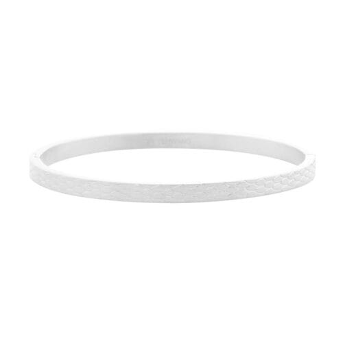 Armband-Snake-Skin-zilver-zilveren-dames-rvs-armbanden-bracelet-armcandy-online-bestellen-sieraden-fashion