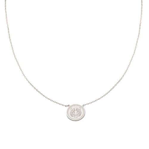Ketting-Fierce-Tiger-zilver-zilver-dames-Kettingen-necklage-tijger-bedel-fashion-rvs-sieraden-kopen-kopie