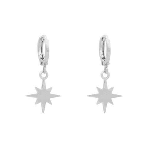 Oorbellen-Starry-Sky-zilver-zilveren-hippe-dames-oorbel-earrings-ster-bedels-online-sieraden-accessoires-kopen-bestellen