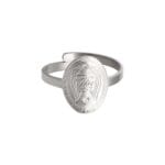 Ring Wild Side zilver-zilveren-ronde-ringen-take-a-walk-on-te-wide-sides-rvs-ringen-kopen