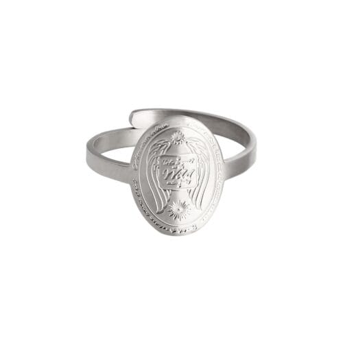 Ring Wild Side zilver-zilveren-ronde-ringen-take-a-walk-on-te-wide-sides-rvs-ringen-kopen