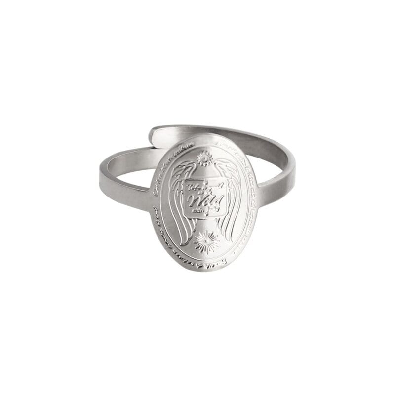 Ring Wild Side zilver-zilveren-ronde-ringen-take-a-walk-on-te-wide-sides-rvs-ringen-kopen