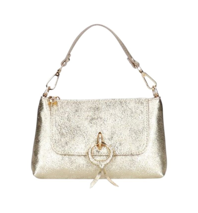Leren Handtas Rada metallic goud gouden leren handtas gouden circel detail met langhengsel pouchette dames tassen leder leer kopen bestellen-Photoroom
