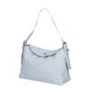 L. Blauw