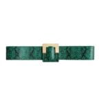 Groene Slangenprint riem green snake goud beslag dames riemen brede riem kopen bestellen nu