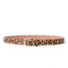 Cheeta