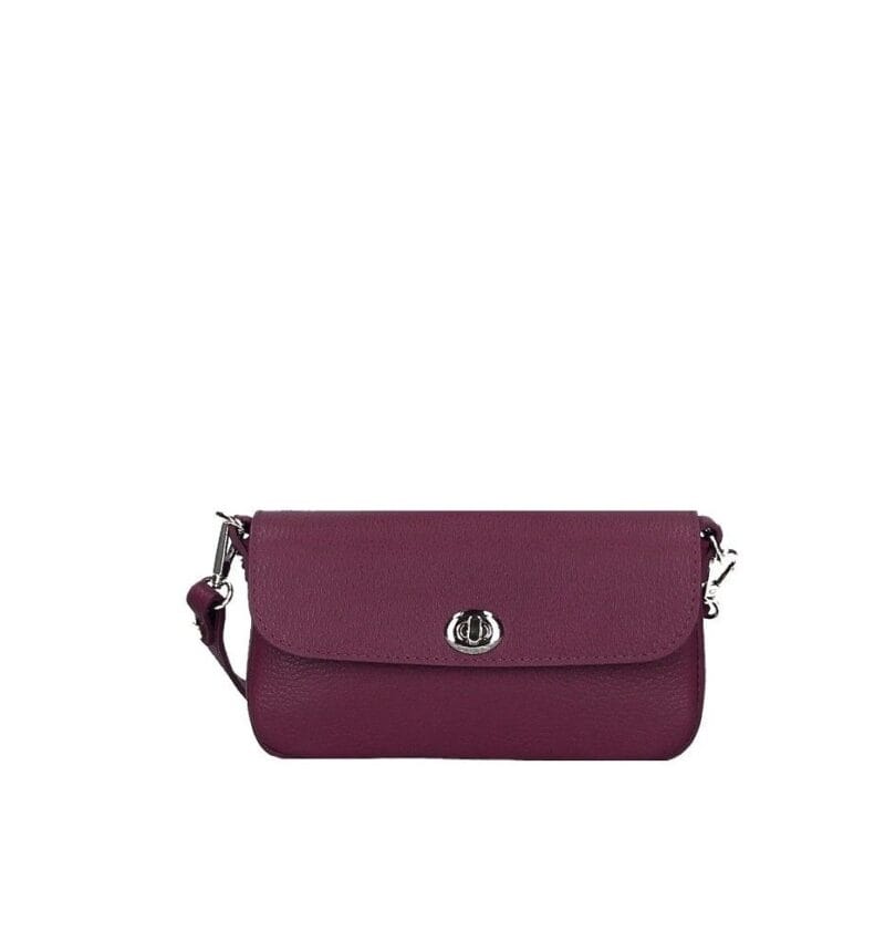 Leren Schoudertas Francis bordeaux kleine schoudertassen festivaltassen zilver beslag trendy leuke kopen bestellen tassen side