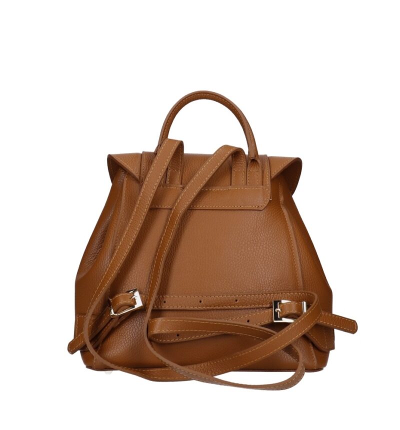 Leren Rugtas Daphne cognac leren rugzak draaislot ruim chic trendy italiaanse tassen kopen achterkant